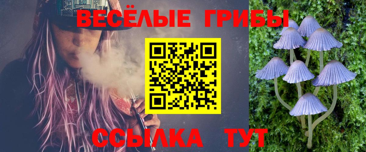 Узловая  Галлюциногенные грибы прущие грибы  Вход с VPN 